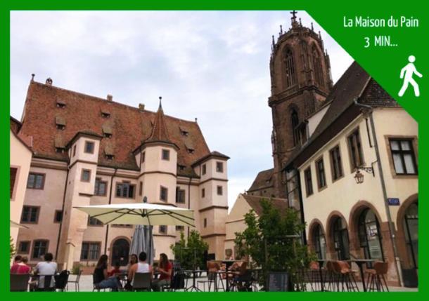Grenier Des Cigognes Apartment Selestat Luaran gambar