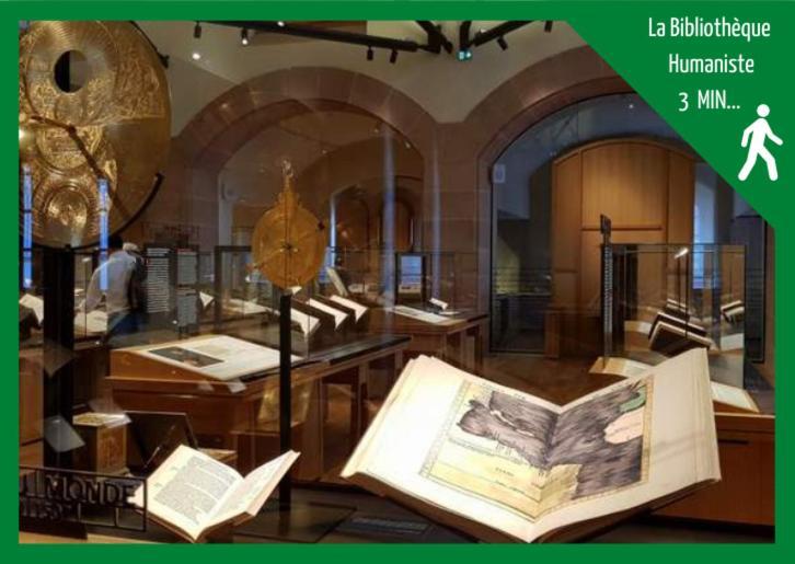 Grenier Des Cigognes Apartment Selestat Luaran gambar