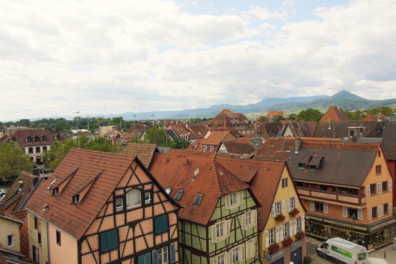Grenier Des Cigognes Apartment Selestat Luaran gambar