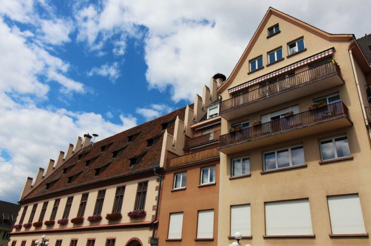 Grenier Des Cigognes Apartment Selestat Luaran gambar