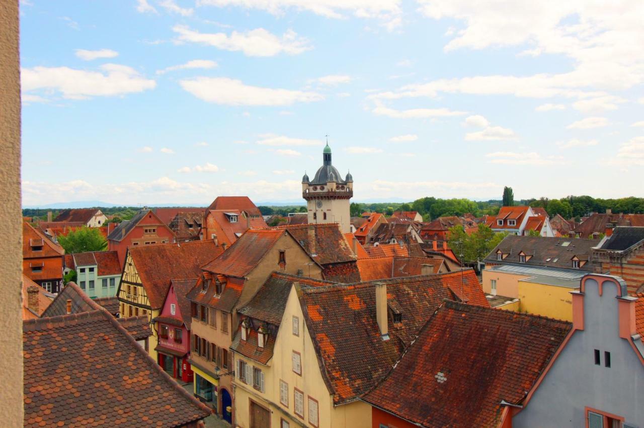 Grenier Des Cigognes Apartment Selestat Luaran gambar